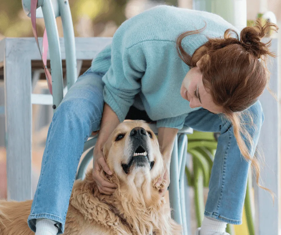 Pet Safety and Emergency Preparedne