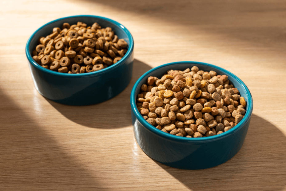 Best Grain-Free Dog Food