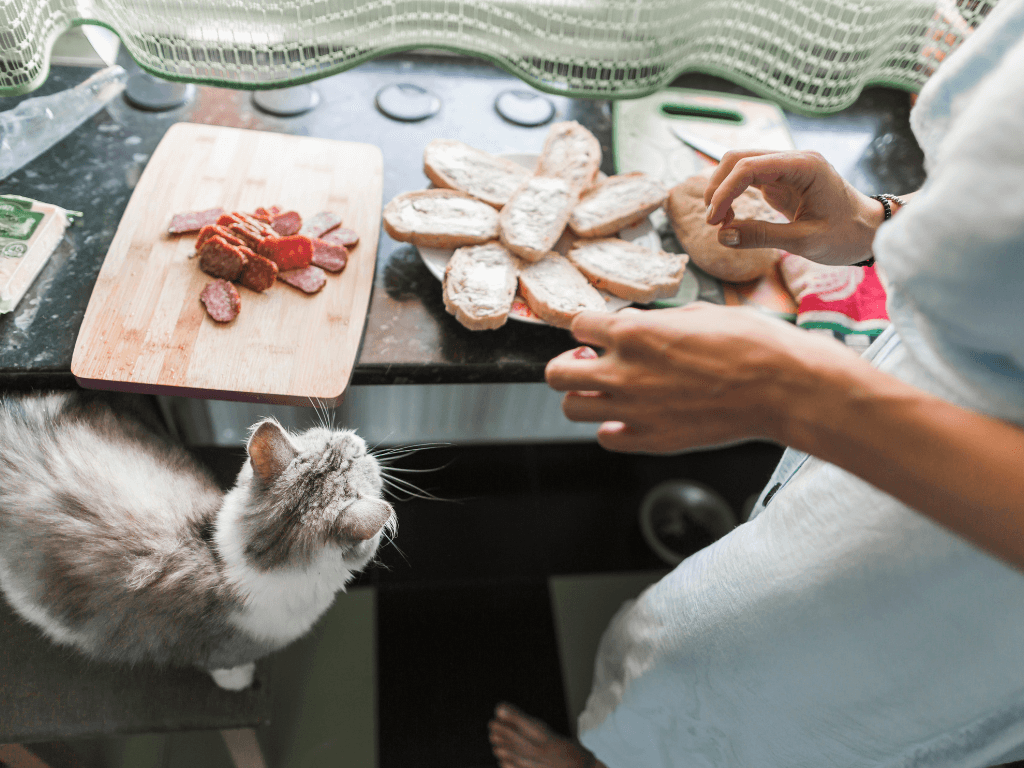 Natural-Remedies-for-Pets