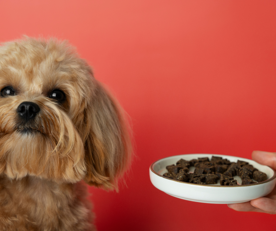 Pet Food Guide2