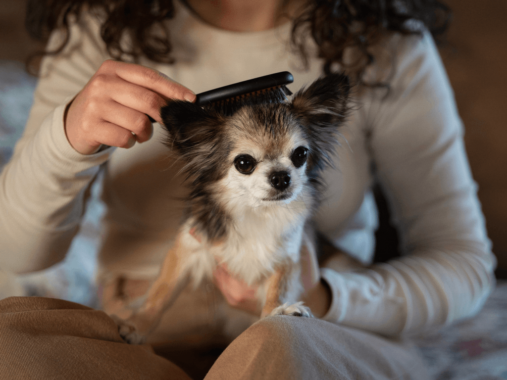 Pet Grooming Tips