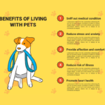 Pet Nutrition Tips