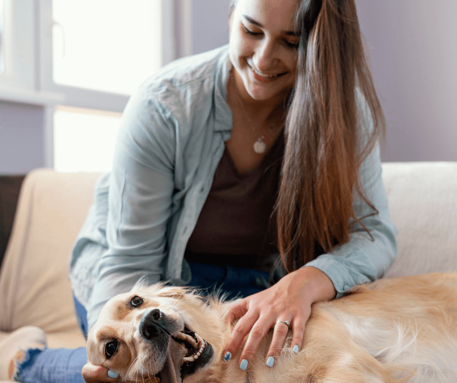 Preventative Care for Pets