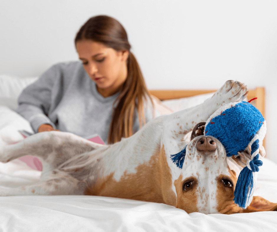 Understanding and preventing dog sickness is crucial