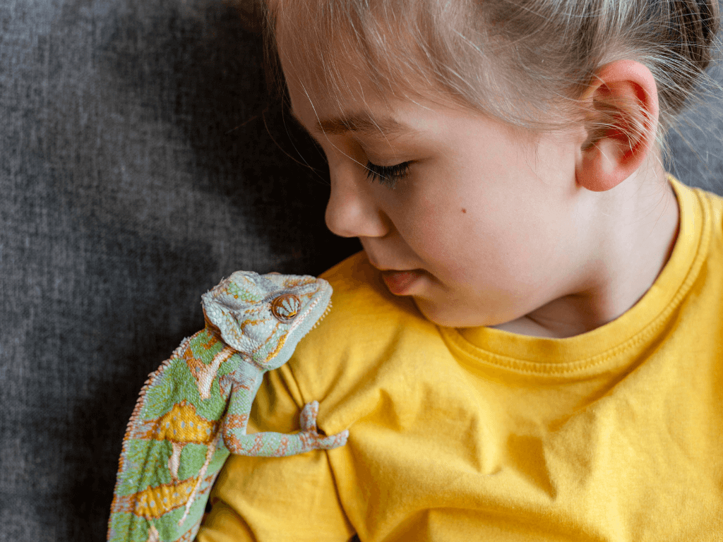 close-up-chameleon-girl-s-shoulder