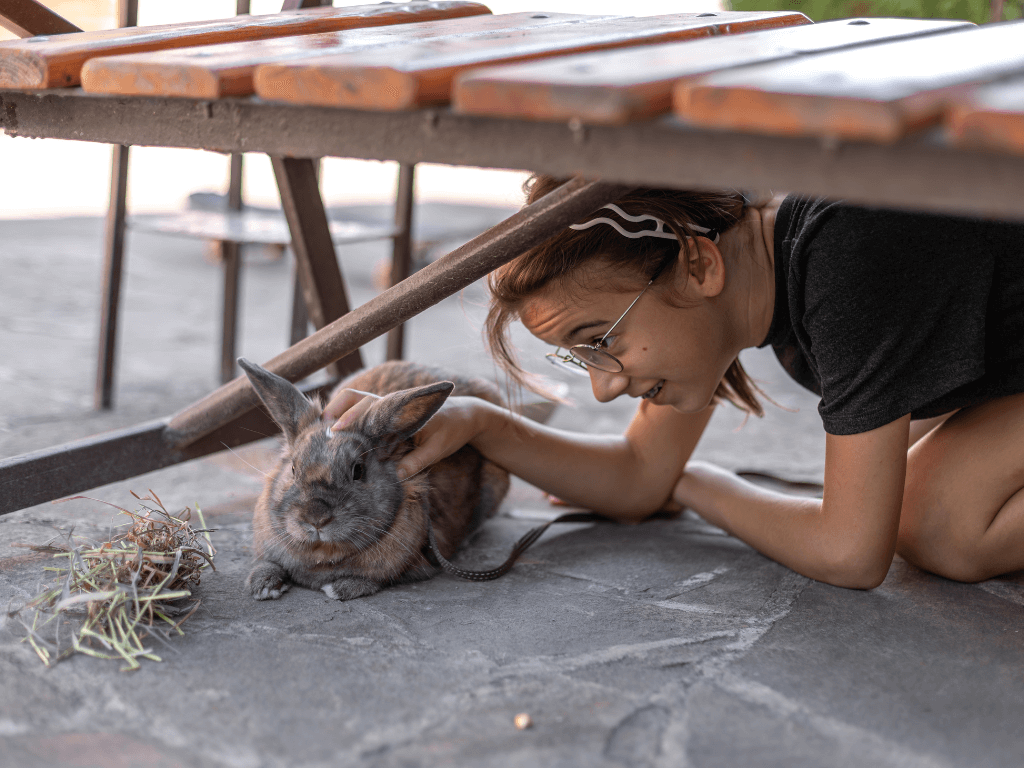 girl-plays-with-domestic-rabbit-street-pet-concept