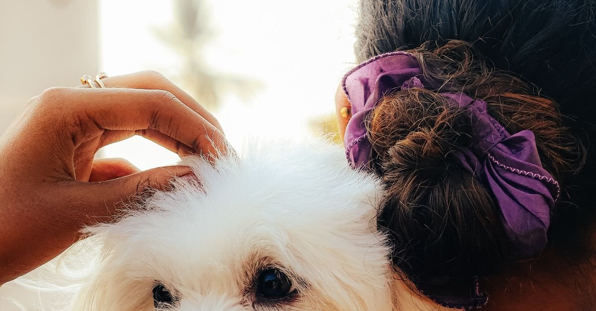 Pawspera Pet Care