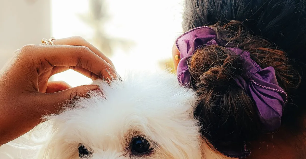 Pawspera Pet Care