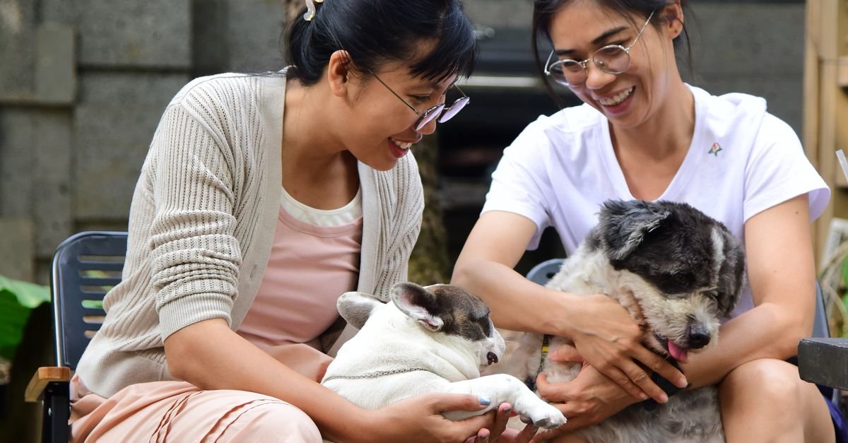 Pawspera Pet Care