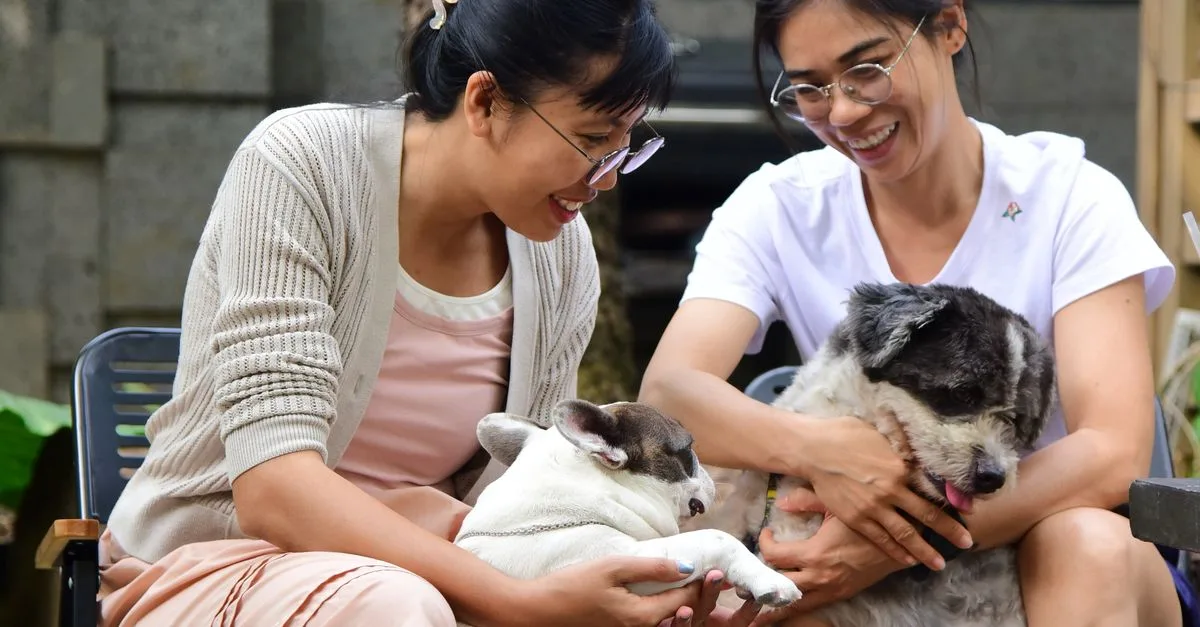 Pawspera Pet Care