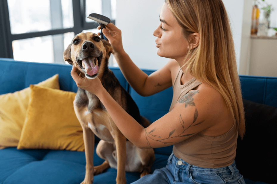 Grooming Long-Haired Dogs