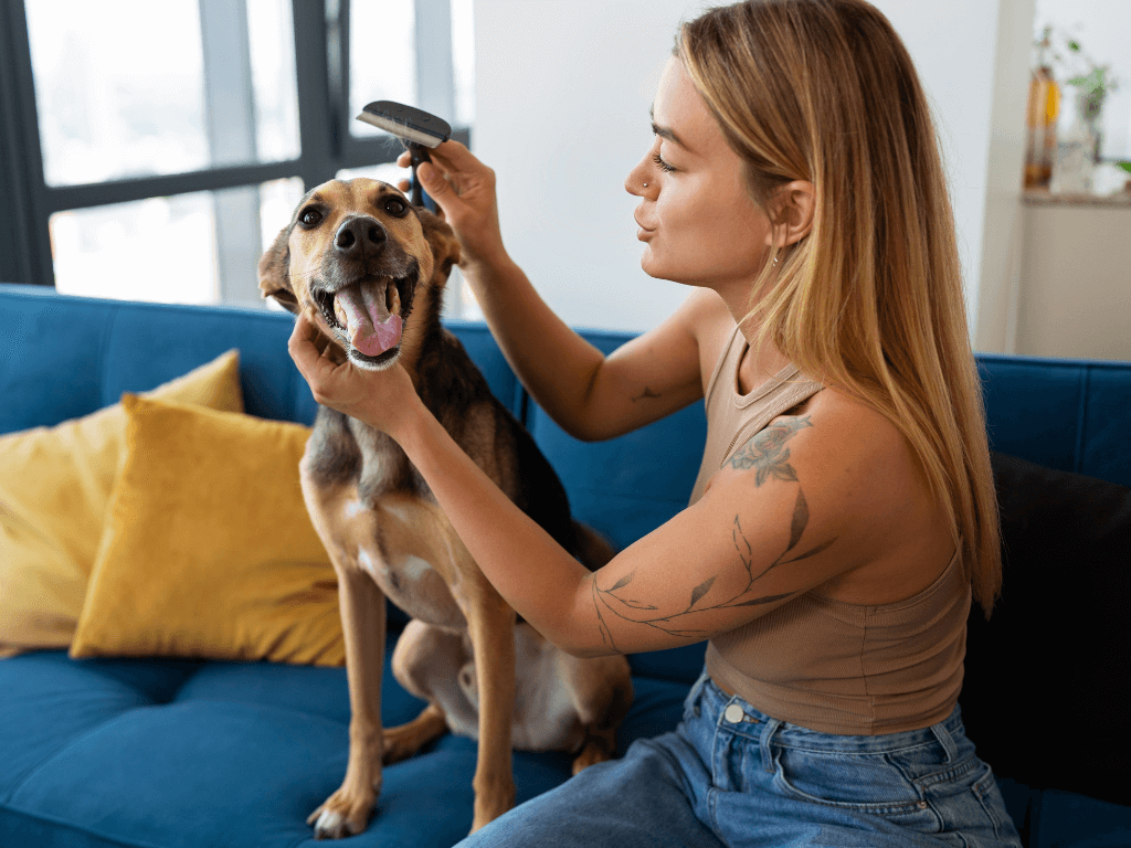 Grooming Long-Haired Dogs