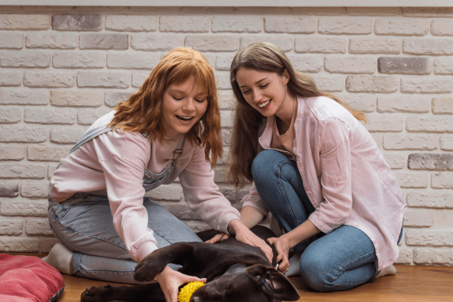 Tips on Socializing Pets