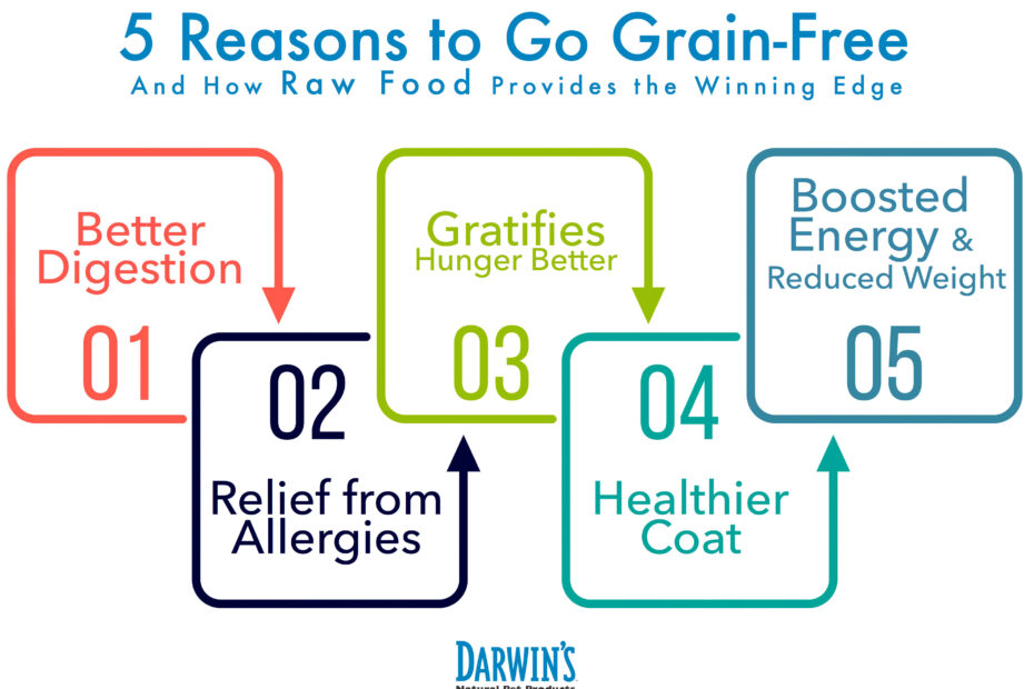 Benefits of Grain-Free Dog Food