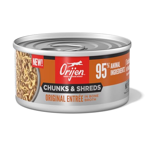 Best Canned Food for Cats