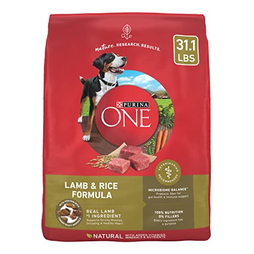 Best Dry Food for Dogs