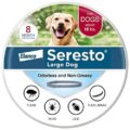 Best Flea And Tick Treatments
