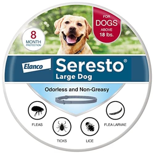 Best Flea And Tick Treatments