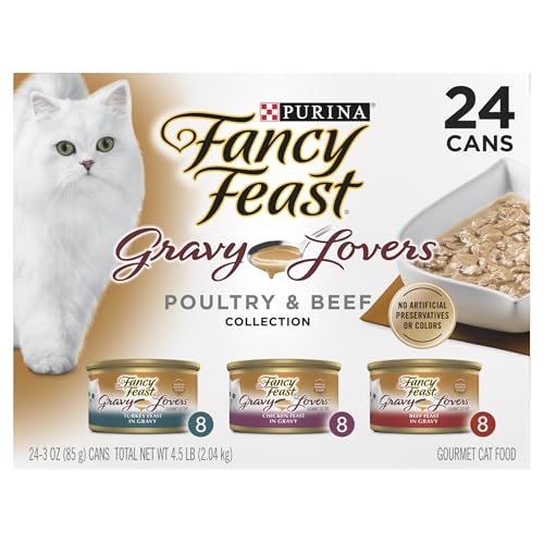 Best Food for Cats