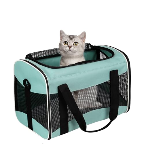 Best Pet Carriers