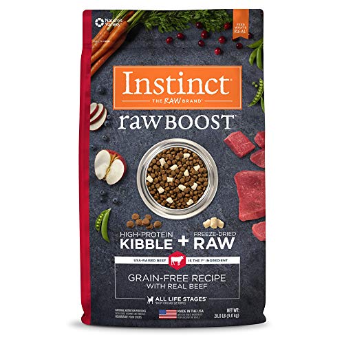 Best Raw Food for Dogs