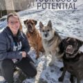 Dog Training near Me