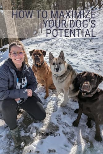 Dog Training near Me