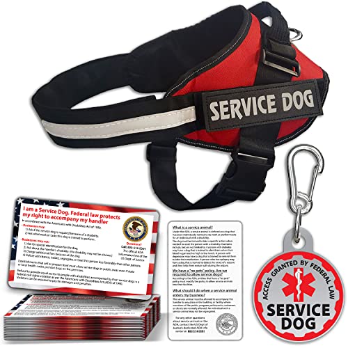 Dog Walker Service