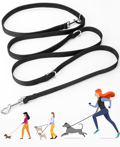 Dog Walking Services