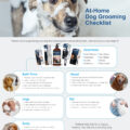 How to Groom Your Dog at Home