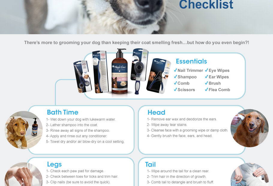 How to Groom Your Dog at Home