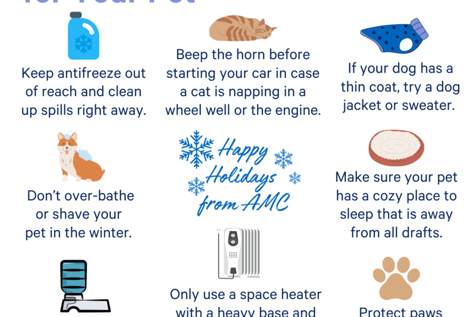 How to Keep Pets Healthy in Winter