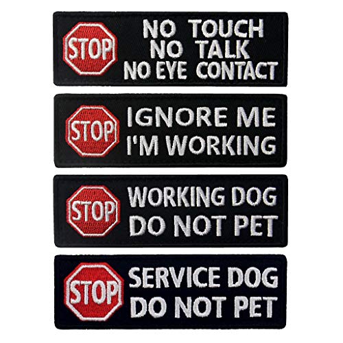 Pet Service near Me