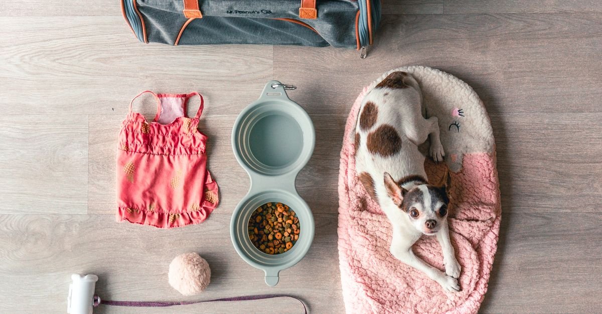 Pet Travel Accessories