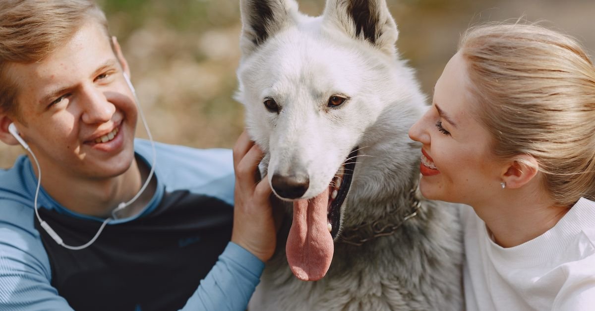 Benefits Of Pet Socialization