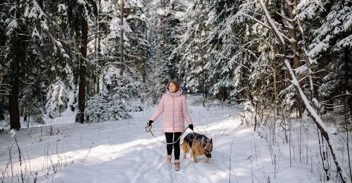 Keep Pets Healthy In Winter