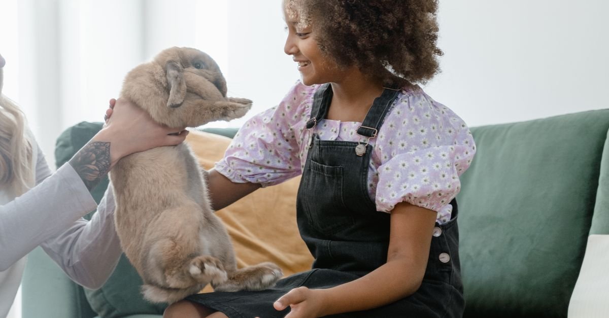 Practices Introducing Pets New Environments