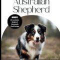 Socialization Training for Older Dogs