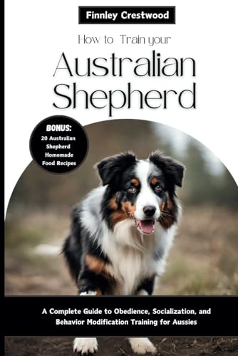 Socialization Training for Older Dogs