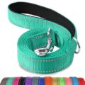 Top-Rated Dog Leashes
