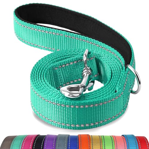 Top-Rated Dog Leashes