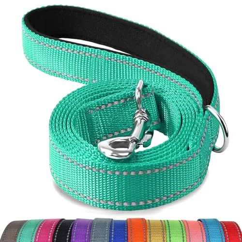 Top-Rated Dog Leashes
