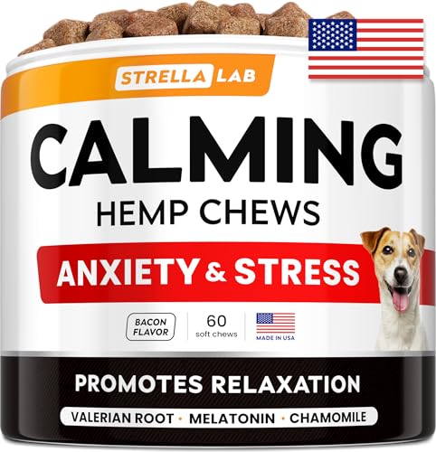Anxiety Relief for Dogs