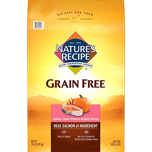Benefits of Grain-Free Dog Food