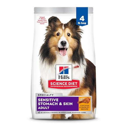 Best Food for Dogs With Sensitive Stomachs