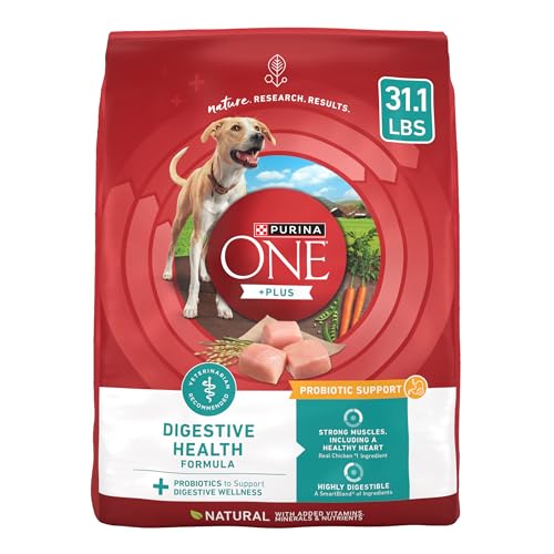 Best Food for Dogs With Sensitive Stomachs