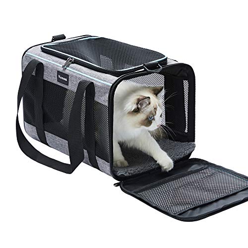 Best Pet Carriers