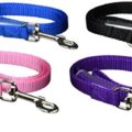 Best Pet Grooming Products