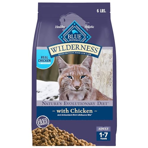 Choosing the Best Food for Cats