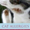 Guide to Cat Allergies